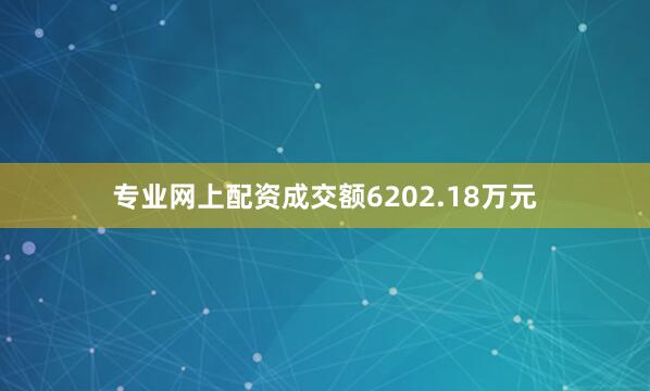 专业网上配资成交额6202.18万元